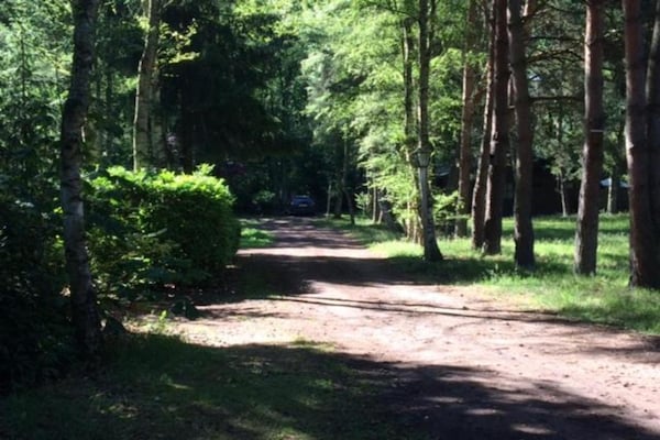 Foto van Vlaanderen Gezellig Huisje - Vakantiehuis in Vlaanderen - AreaSummer20KM