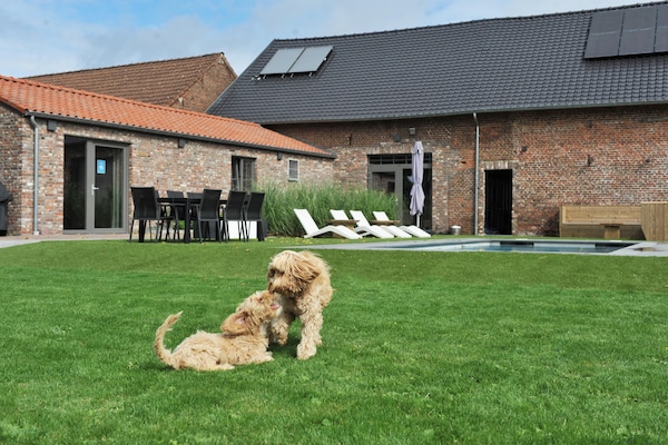 Foto van Vlaanderen Gezellig Huisje - Vakantiehuis in Vlaanderen - ExteriorSummer