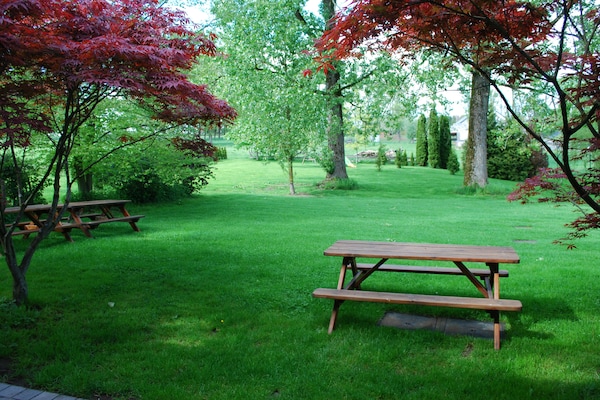 Foto van Luxe vakantieparadijs in Sprimont - Vakantiehuis in Sprimont - GardenSummer