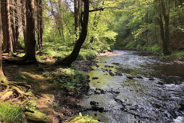 Foto van Ardense villa met tuin aan de rivier en uitzicht - Vakantiehuis in St. Vith - AreaSummer1KM