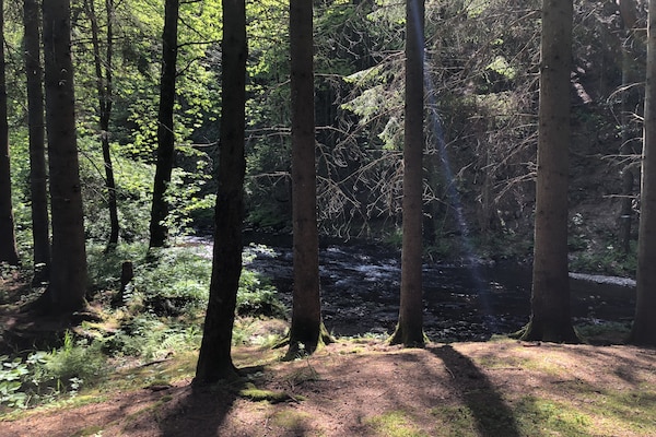 Foto van Ardense villa met tuin aan de rivier en uitzicht - Vakantiehuis in St. Vith - AreaSummer1KM