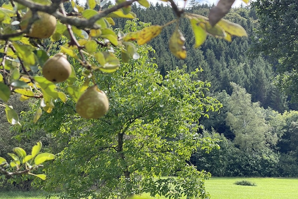 Foto van Ardense villa met tuin aan de rivier en uitzicht - Vakantiehuis in St. Vith - Ambiance