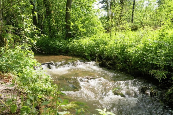 Foto van Waimes Retreat nabij het bos - Vakantiehuis in Waimes - AreaSummer20KM