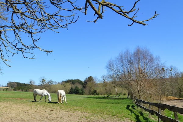 Foto van Boerderijverblijf in Barvaux-Condroz - Vakantiehuis in Barvaux Condroz - AreaSummer20KM