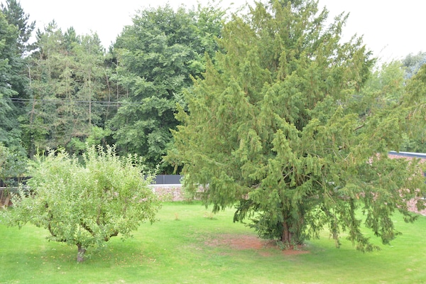 Foto van Boerderijretraite, Fernelmont - Vakantiehuis in Forville - ViewSummer