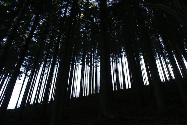 Foto van Gezellig natuurretraite, Houffalize - Vakantiehuis in Houffalize - AreaSummer20KM
