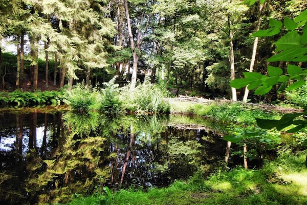 Foto van Gezellig natuurretraite, Houffalize - Vakantiehuis in Houffalize - AreaSummer20KM
