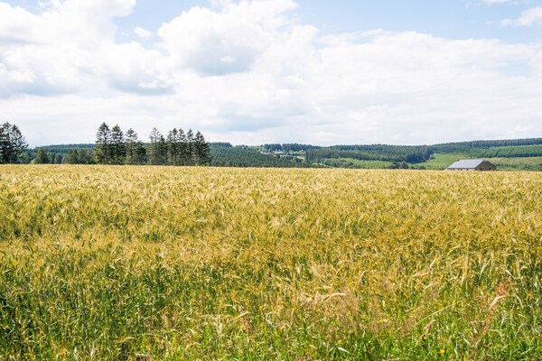 Foto van Rustige retraite met sauna - Vakantiehuis in Fraiture - AreaSummer1KM