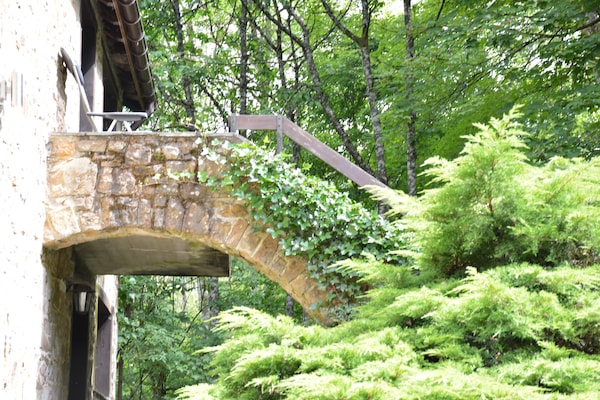 Foto van Vakantiehuisje in het hart van de Ardense bossen - Vakantiehuis in Harre - ExteriorSummer