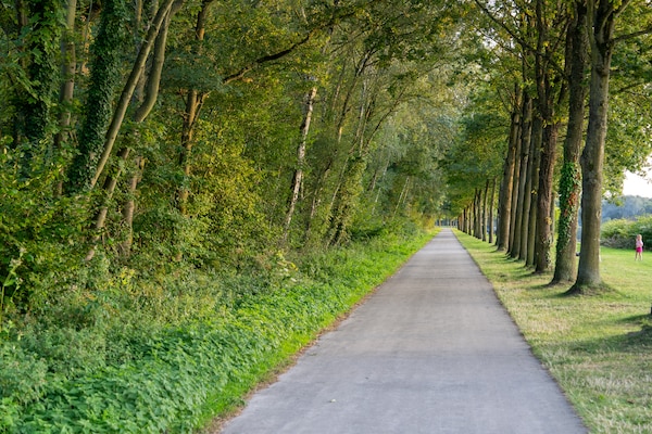Foto van Romantische schuilplaats in het bos - Vakantiehuis in Antoing - AreaSummer5KM