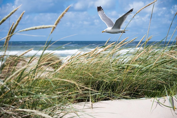 Foto van Appartement in Knokke bij het Strand - Vakantiehuis in KNOKKE-HEIST - Ambiance