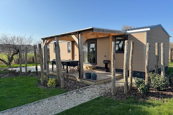 Foto van Vakantiehuis met tuin - Vakantiehuis in Blankenberge - ExteriorSummer