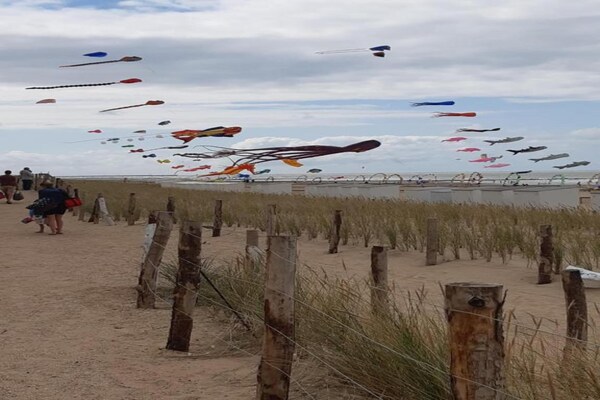Foto van Op een steenworp afstand van het rustige pad langs de kust. - AreaSummer20KM