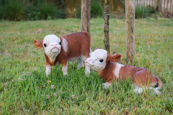 Foto van Appartement in Nieuwpoort bij Strand - Vakantiehuis in Nieuwpoort - AreaSummer20KM