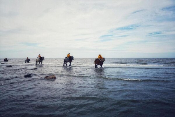 Foto van Appartement in Koksijde bij Strand - Vakantiehuis in Oostduinkerke - AreaSummer5KM