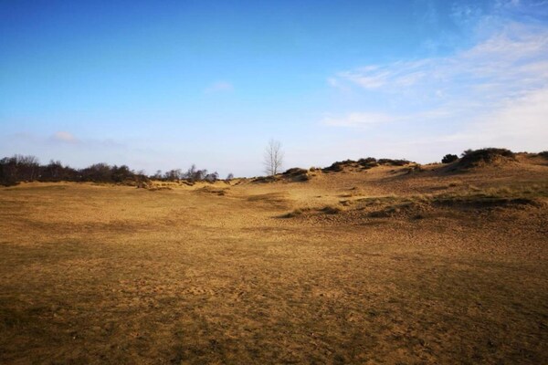 Foto van Appartement in Koksijde bij Strand - Vakantiehuis in Oostduinkerke - AreaSummer5KM