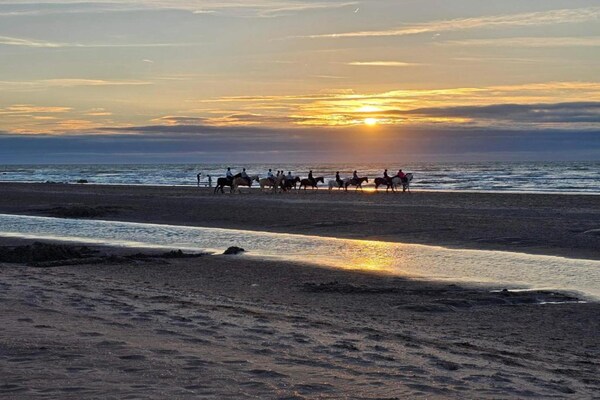 Foto van Appartement aan Belgische kust met zeezicht - Vakantiehuis in Oostduinkerke - AreaSummer5KM