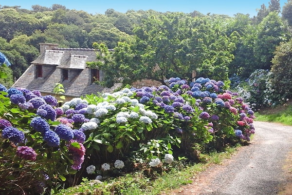 Foto van Stenen Huis in Bretagne bij Zandstrand - Vakantiehuis in Penvénan - ExteriorSummer