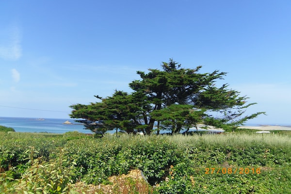 Foto van Stenen huis in Bretagne bij zandstranden - Vakantiehuis in Landéda - ViewSummer