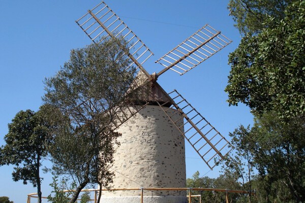Foto van Vakantiehuis in Bellegarde bij Camargue - Vakantiehuis in Bellegarde - AreaSummer20KM