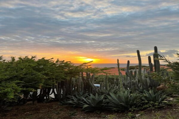 Foto van Ruime villa vlakbij het strand - Vakantiehuis in Jan Thiel - AreaSummer20KM