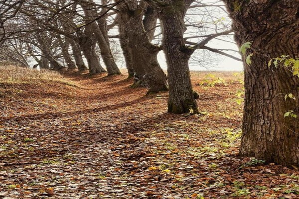 Foto van Centrale Jáchymov Escape - Vakantiehuis in Jáchymov - AreaSummer5KM