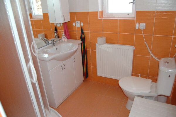 Foto van Berghut met zwembad - Vakantiehuis in Ktová - BathRoom