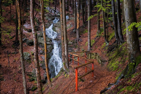 Foto van Berghut met zwembad - Vakantiehuis in Ktová - AreaSummer20KM