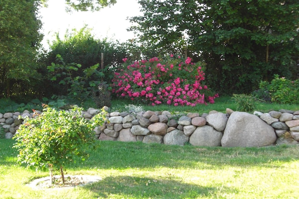 Foto van Vakantieappartement met tuin in Zweedorf - Vakantiehuis in Zweedorf - GardenSummer