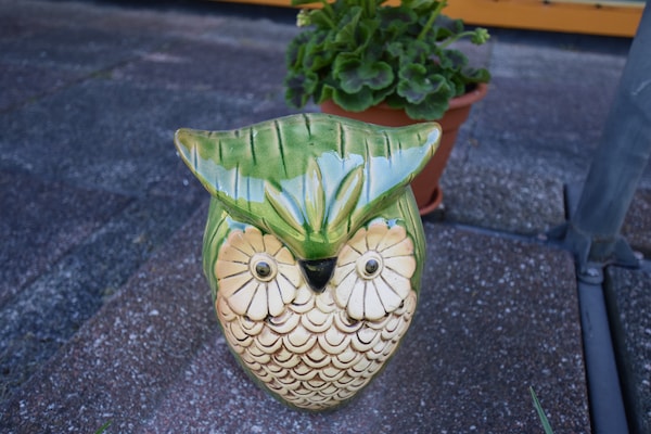 Foto van Gezellige hut aan de Oostzee - Vakantiehuis in Kägsdorf - Ambiance