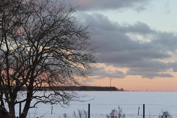 Foto van Bungalow aan het strand, Boiensdorf - Vakantiehuis in Boiensdorf - ViewWinter