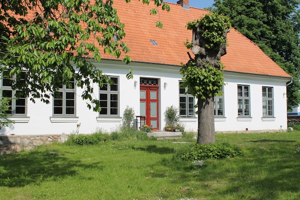 Foto van Vakantieappartement in Steffenshagen met terras - Vakantiehuis in Steffenshagen - ExteriorSummer