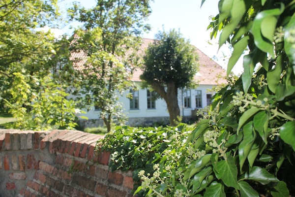 Foto van Vakantieappartement in Steffenshagen met terras - Vakantiehuis in Steffenshagen - ExteriorSummer