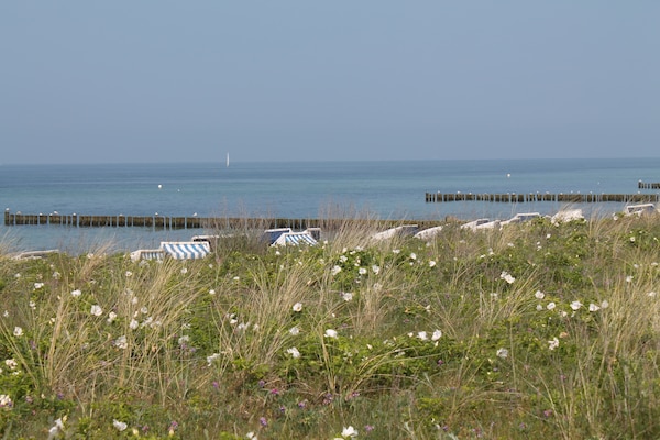 Foto van Vakantieappartement in Steffenshagen met terras - Vakantiehuis in Steffenshagen - AreaSummer20KM