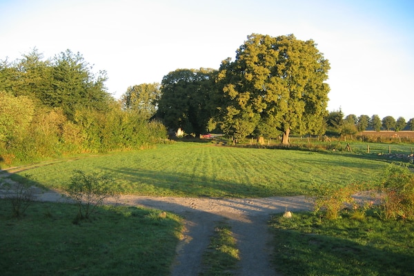 Foto van Appartement in Semlow met tuin en terras - Vakantiehuis in Semlow - ViewSummer
