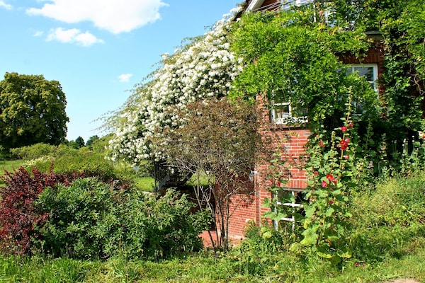 Foto van Appartement in Semlow met tuin en terras - Vakantiehuis in Semlow - ExteriorSummer