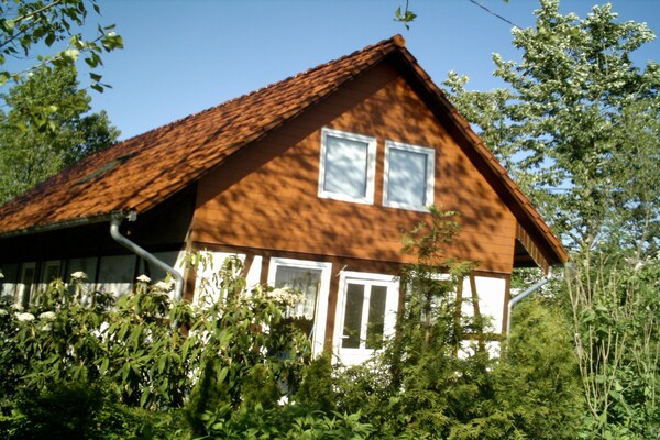 Foto van Bungalow in Börgerende-Rethwisch met sauna - Vakantiehuis in Börgerende-Rethwisch - ExteriorSummer