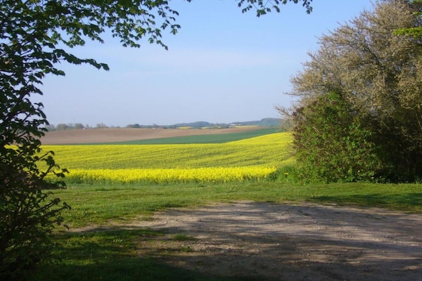 Foto van Appartement in Satow met tuin - Vakantiehuis in Gerdshagen - AreaSummer20KM