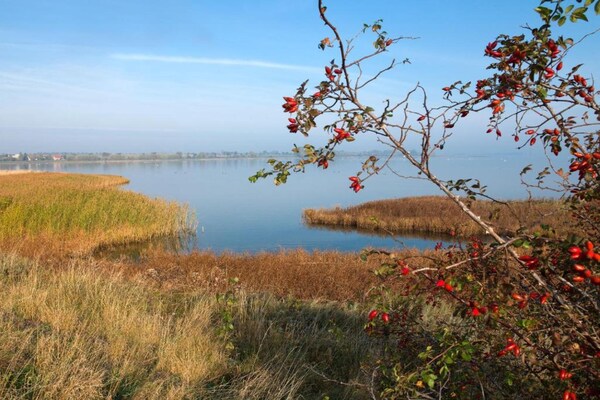 Foto van Bungalow op het eiland Poel voor 2 personen - Vakantiehuis in Insel Poel - AreaSummer5KM