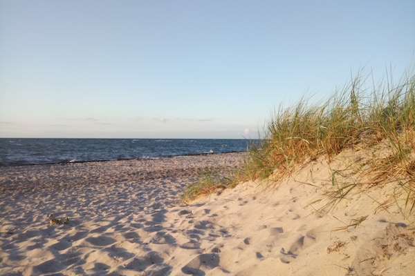 Foto van Vakantiehuis in Zierow met tuin - Vakantiehuis in Zierow - AreaSummer5KM