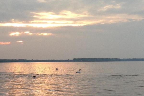 Foto van Vakantiehuis in Zierow met tuin - Vakantiehuis in Zierow - AreaSummer20KM