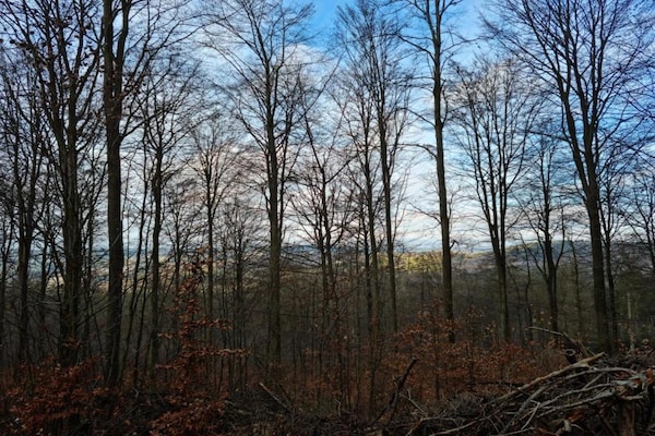 Foto van Romantische ontsnapping in Altentreptow - Vakantiehuis in Altentreptow - AreaSummer20KM
