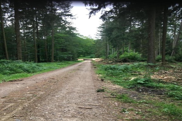 Foto van Romantische ontsnapping in Altentreptow - Vakantiehuis in Altentreptow - AreaSummer20KM