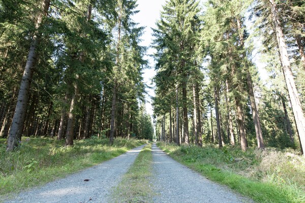 Foto van Haven met privéterras - Vakantiehuis in Jägersgrün - AreaSummer5KM