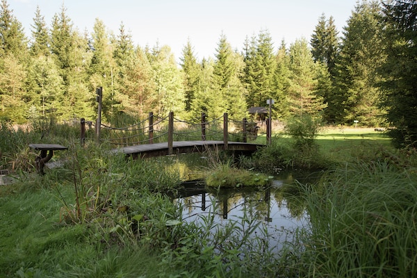 Foto van Bosretraite in Jägersgrün - Vakantiehuis in Jägersgrün - AreaSummer1KM