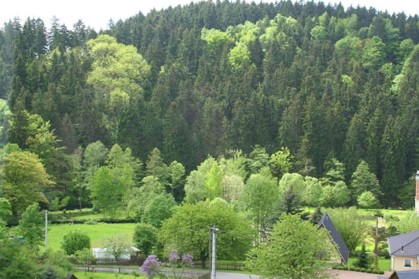 Foto van Appartement met groot gedeeld terras - Vakantiehuis in Grunhainichen-Borstendorf - AreaSummer20KM
