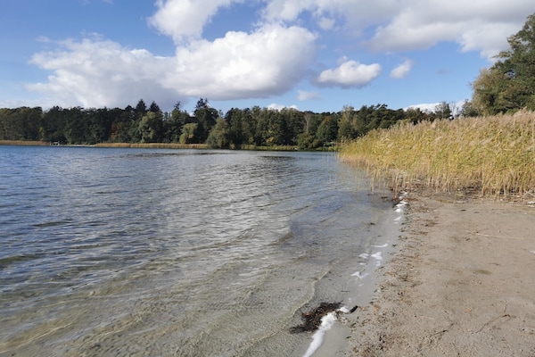 Foto van Appartement voor 3 personen in Strausberg - Vakantiehuis in Strausberg - AreaSummer1KM