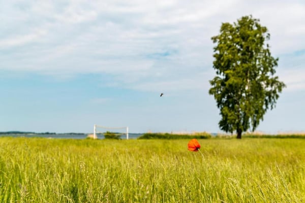 Foto van Liefdevol ingericht appartement - Vakantiehuis in Rechlin - AreaSummer5KM