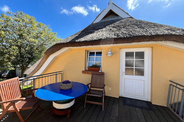 Foto van Vakantiewoning, Wieck am Darß - Vakantiehuis in Wieck am Darß - HallReception