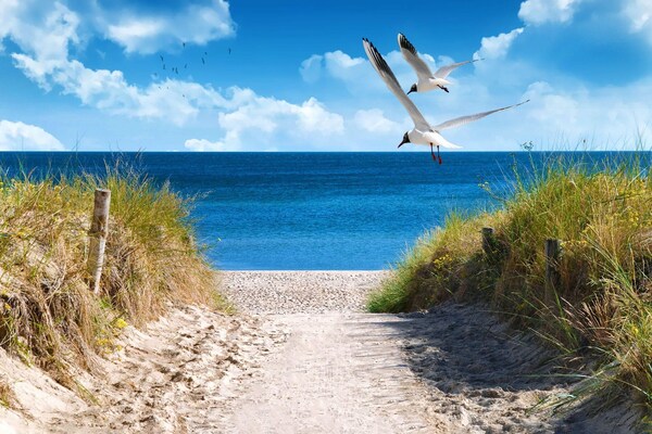 Foto van Art-Decor strandvilla - Vakantiehuis in Großenbrode - AreaSummer5KM